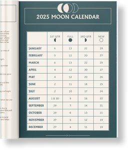 2025 Almanac Oracle and Astro Insights (E-book only)