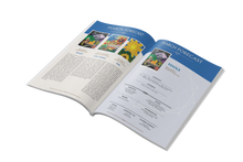 Load image into Gallery viewer, The Sacred 8 Bundle: Mystics Almanac 2026 + Original Oracle Deck